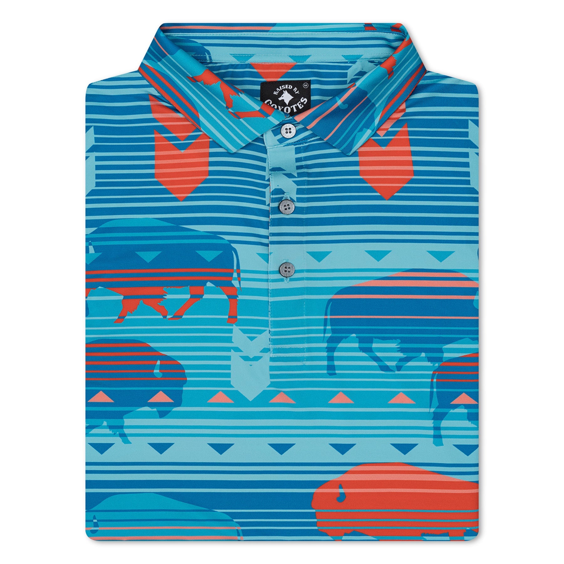 Caprock Buffalo Polo