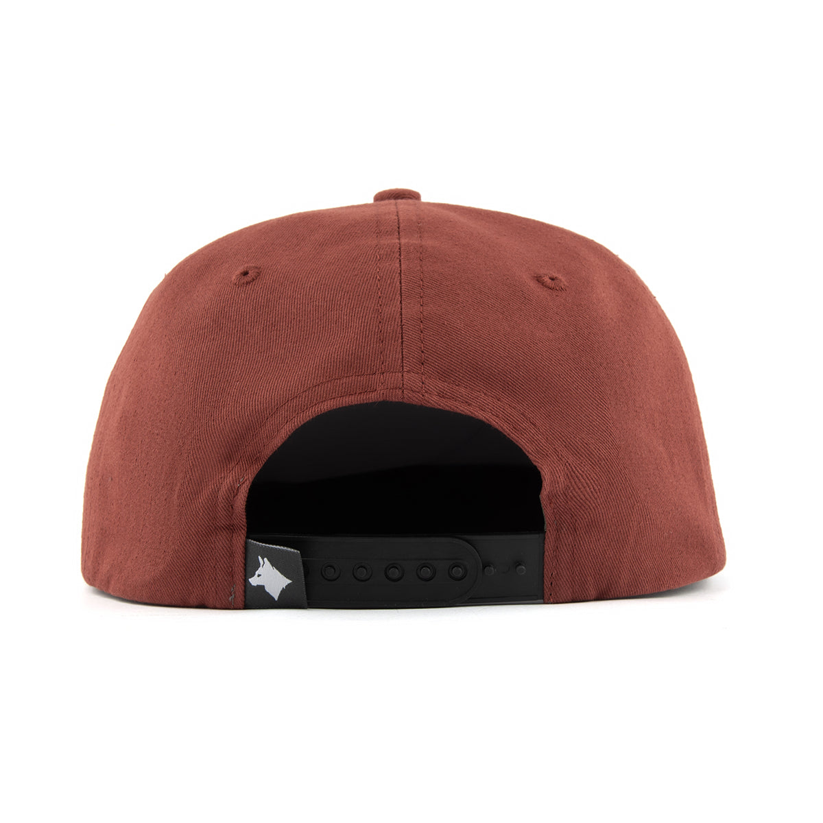 Ascend Snapback